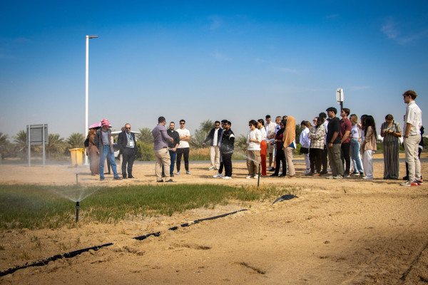 Winter Study Tour Students Plant Mangroves in Support of Ajman's Climate Action Initiatives