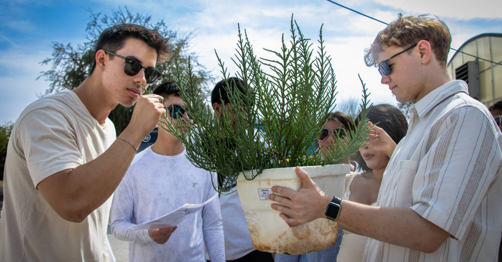 Winter Study Tour Students Plant Mangroves in Support of Ajman's Climate Action Initiatives