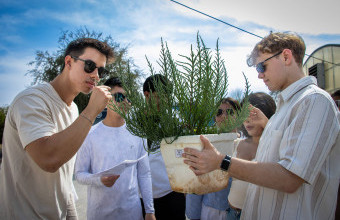 Winter Study Tour Students Plant Mangroves in Support of Ajman's Climate Action Initiatives
